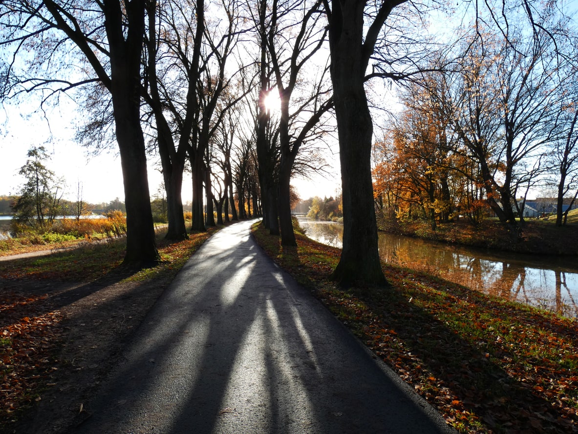 Baumgesäumter Weg entlang eines Flusses im Herbst. Die Sonne scheint durch die Äste, wirft lange Schatten auf den Weg und beleuchtet das bunte Laub in warmen Farben.